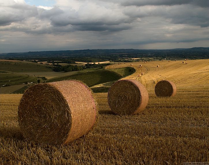 'AFTER HOURS' Straw bales, Mere