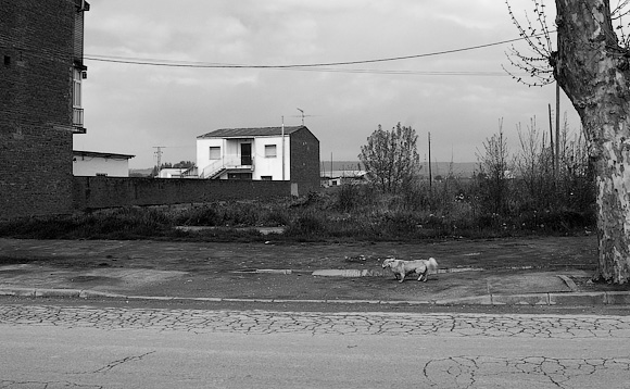 Dog and house, Humanes (next to the petrol station)