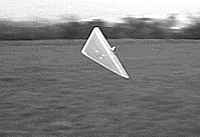 Pibros in flight