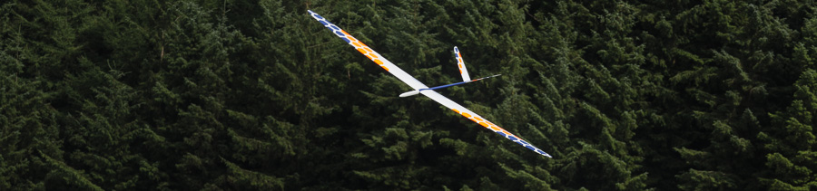 Gulp flying in Wales