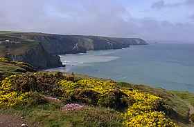 Newquay