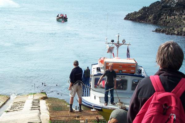 Ramsay Island is a 15 minute ferry ride from St Justinians.