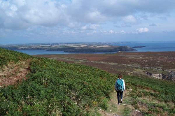 Looking across to St David's Head