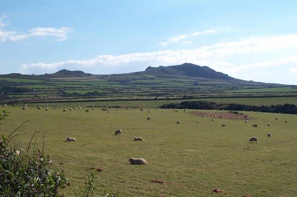 Worth the climb to the top of Garn Fawr.