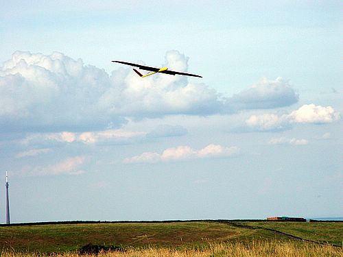 Edwin's 'teabag' on finals.