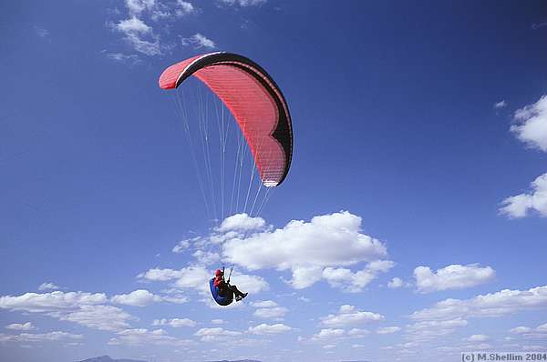 Paragliders shared the air