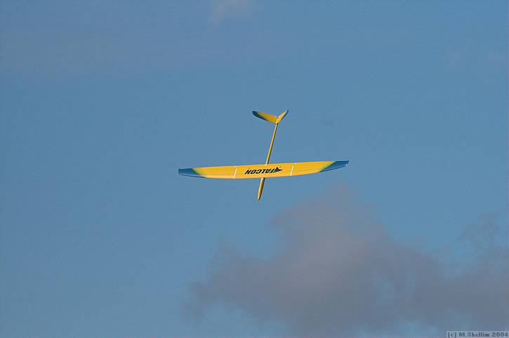 Alex's Falcon. (I test flew my own Falcon on Friday, and it flew like a peach in the light air.)