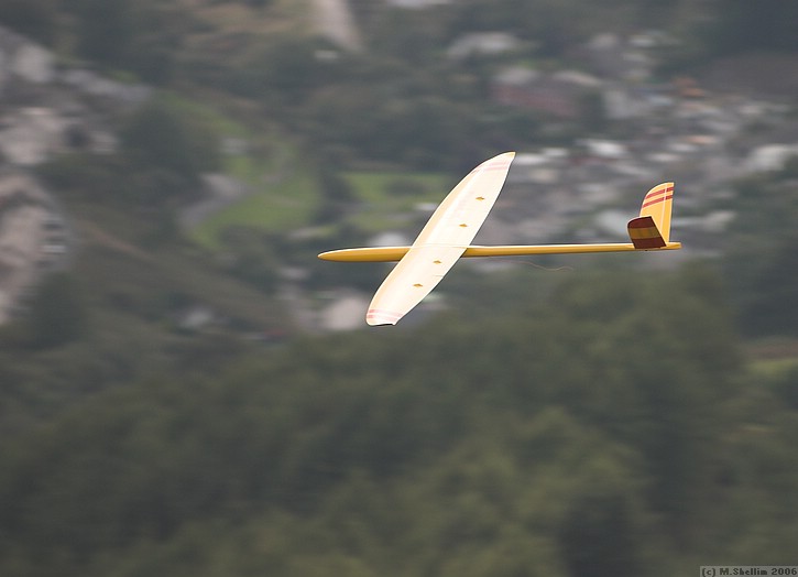 Mick Walsh's Skorpion