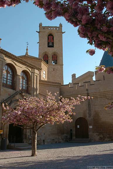 These are some pictures of Olite.