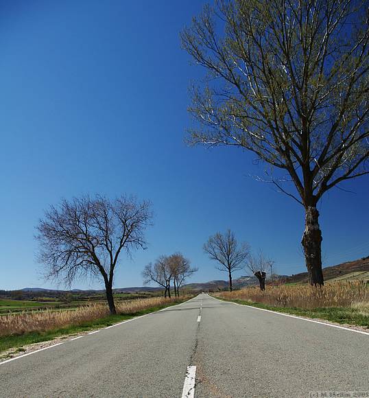 Onward to Muela on some beautiful and deserted roads.