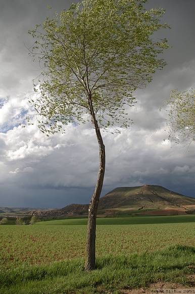 Perfect lighting for landscapes.