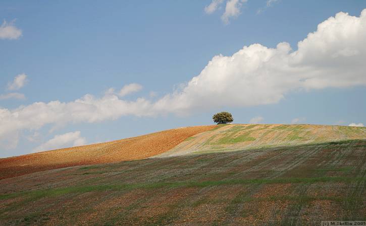 I took the country roads to the Autopista.