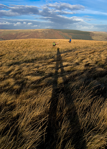 Evening shadow