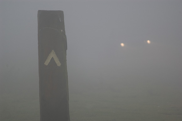 Day 3. Shane Biddlecombe's car headlamps cut through the mist.