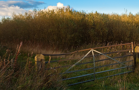 Farm gate