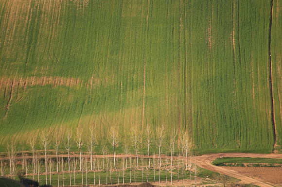 Field and trees shot from La Muela