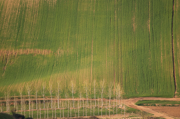 Field and trees shot from La Muela