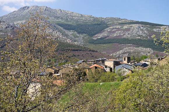 Valverde de los Arroyos