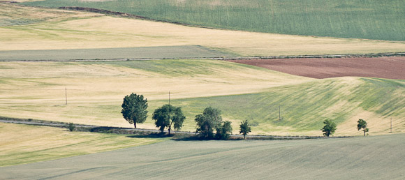 Landscape around La Muela is a patchwork of green, yellow and brown, broken up by tracks and trees.